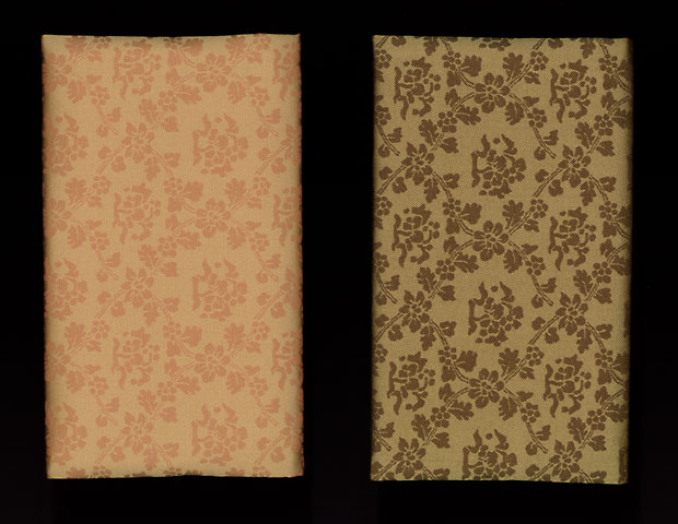 ����̾ʪ�������դ���