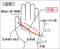 【送料無料!!：メール便】mizuno ミズノ バッティング手袋 【鬼滅の刃】打者用手袋【両手用】ジュニア（ユニセックス）野球・ソフトボール 1EJRYA00（64：NEZUKO）竈門禰豆子 キャラクターイメージ バッテ グローブ バッティンググローブ 少年用 JR 子供 鬼滅の刃 グッズ 3