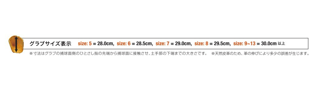 Wilson ウイルソン 軟式用グラブ D-MAX（外野手用）WTARDS7WF グローブ グラブ 軟式 軟式グローブ 外野手 外野手用グラブ 外野手用グローブ ウイルソングローブ ウイルソングラブ ウィルソン ウィルソングラブ ウィルソングローブ 2