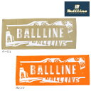 オンザコート BALL LINE(ボールライン)バスケット スポーツタオル TWL439 タオル バスケタオル バスケットタオル バスケットボールタオル オンザ...