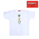 オンザコート ボールライン バスケット ピーナッツ(スヌーピー)ウッドストック × ボールライン Tシャツ PNU1606 ホワイト バスケTシャツ スヌーピー...