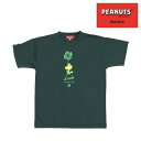 オンザコート ボールライン バスケット ピーナッツ(スヌーピー)ウッドストック × ボールライン Tシャツ PNU1606 グリーン バスケTシャツ スヌーピー...