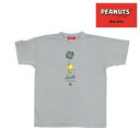 オンザコート ボールライン バスケット ピーナッツ(スヌーピー)ウッドストック × ボールライン Tシャツ PNU1606 RFグレー バスケTシャツ スヌーピ...