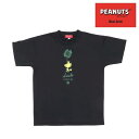 オンザコート ボールライン バスケット ピーナッツ(スヌーピー)ウッドストック × ボールライン Tシャツ PNU1606 ブラック バスケTシャツ スヌーピー...