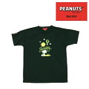 【25年NEW】オンザコート ボールライン バスケット ピーナッツ(スヌーピー)×ボールライン Tシャツ PNU1707 グリーン バスケTシャツ スヌーピーバ...