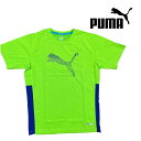 puma プーマ Tシャツ 半袖Tシャツ トップス 運動 ジョギング ランニング ウォーキング 部活 クラブ ジム 練習着 吸汗 速乾 メンズ レディース グリ...