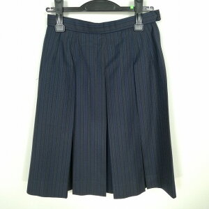 スクールスカート 冬物 w66-丈56 ストライプ 徳島城ノ内高校 プリーツ 学生服 制服 女子 中古 HK9840