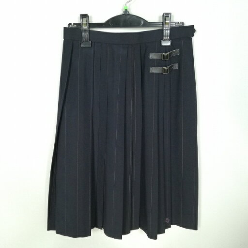 スクールスカート 夏物 w66-丈62 ストライプ 兵庫姫路別所高校 プリーツ 学生服 制服 女子 中古 HK8109 スクールスカート 夏物 w66-丈62 ストライプ 兵庫姫路別所高校 プリーツ 学生服 制服 女子 中古 HK8109