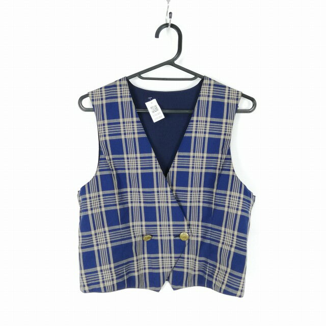 ベスト 上着 冬物 女子 学生服 埼玉山村学園高校 制服 中古 ランクB EY6384