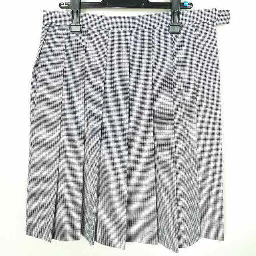 スクールスカート 大きいサイズ 夏物 w78-丈59 チェック 中学 高校 プリーツ 学生服 制服 女子 中古 HK9633 スクールスカート 大きいサイズ 夏物 w78-丈59 チェック 中学 高校 プリーツ 学生服 制服 女子 中古 HK9633