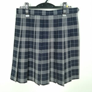 スクールスカート 夏物 w69-丈51 チェック 徳島城ノ内高校 プリーツ 学生服 制服 女子 中古 HK0796