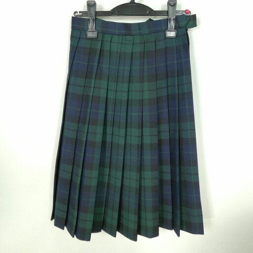 スクールスカート 冬物 w63-丈64 チェック 栃木小山城南中学 プリーツ 学生服 制服 女子 中古 HK1883 スクールスカート 冬物 w63-丈64 チェック 栃木小山城南中学 プリーツ 学生服 制服 女子 中古 HK1883