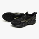 ミズノ ウェーブライダー28 GTX2(ランニング/ゴアテックス/防水) MIZUNO WAVE RIDER GTX 2 J1GC248201 ブラック/ゴールド【楽ギフ_包装選択】(4)