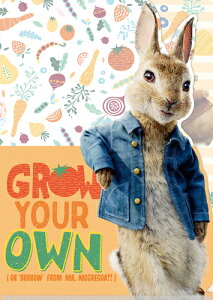 ピーターラビット2 バーナバスの誘惑 IG3407 ダイカットクリアファイル