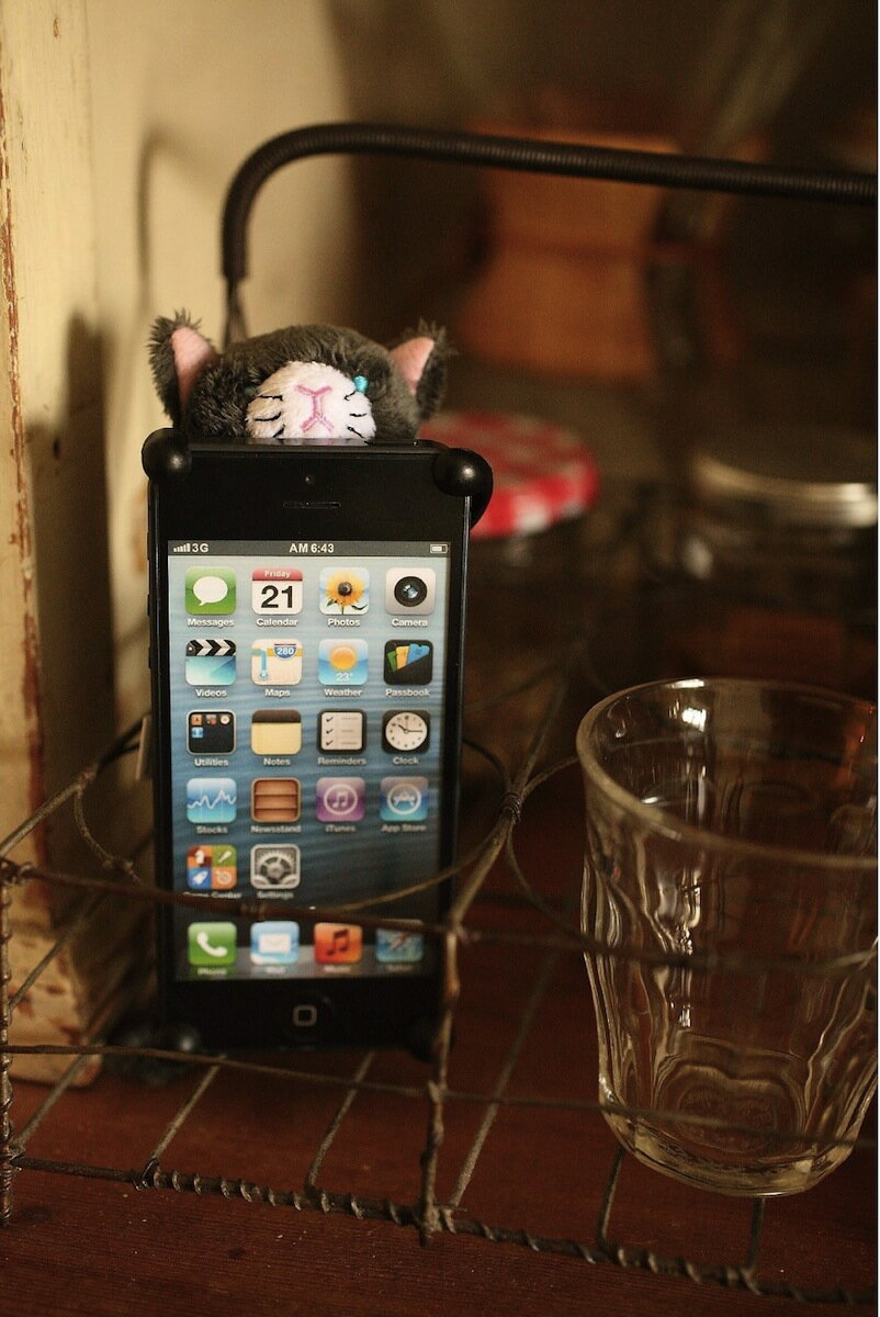 CHATTY LiphoneJo[for iPhone5/5s/5c/SE `R[ ˂iPhoneP[X