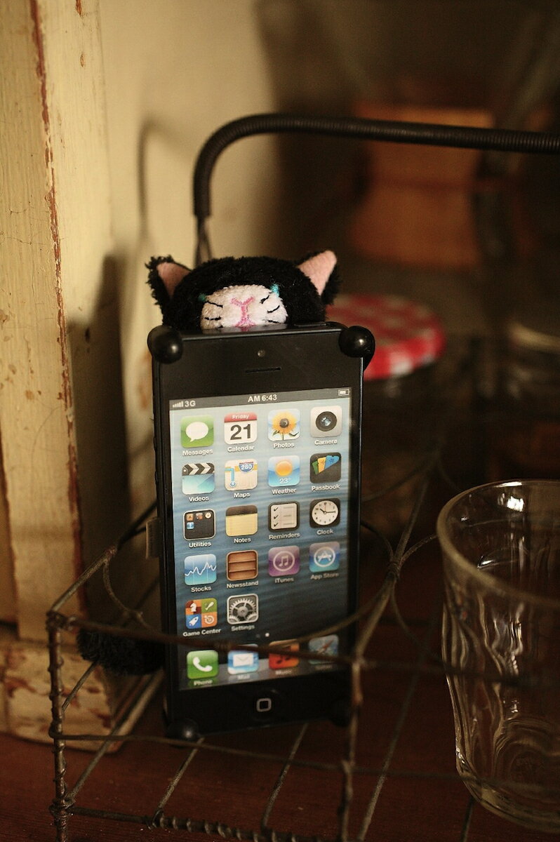 CHATTY 猫のぬいぐるみiphoneカバー for iPhone4/4S ねこのiPhoneケース ブラック