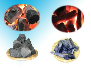 バーベキューならこのセット!土佐木炭たっぷりセット ◆あす楽◆