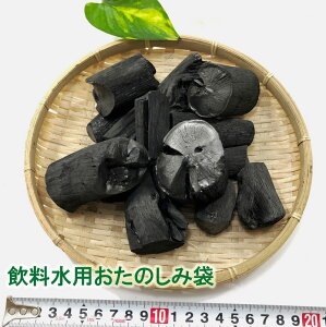 飲料水用土佐備長炭おたのしみ袋レターパックプラス送料込み!売り切れ御免!【時間指定不可】通販格安セール情報 楽天 通販