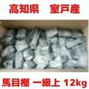 土佐備長炭12キロ「馬目樫一級上(備徳上)」【10P13oct13_b】【RCP】【あす楽対応_四国】【あす楽対応_中国】【あす楽対応_近畿】