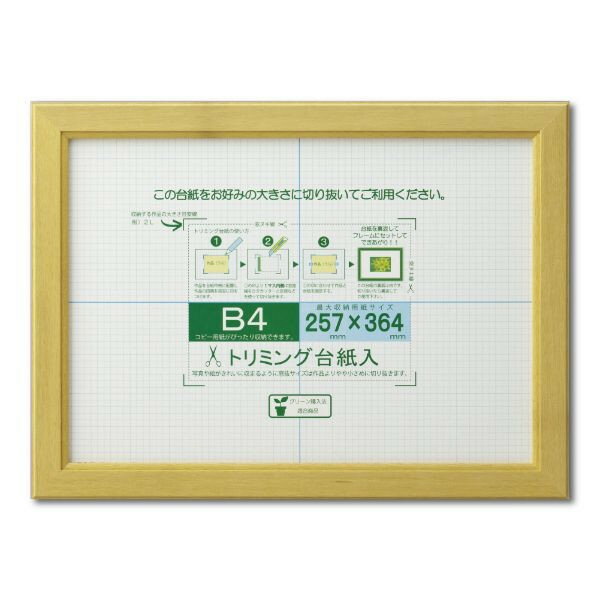 ポスター・OA額縁 カノエ B4 :364X257mm ナチュラル -新品