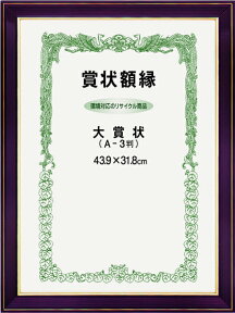 賞状額 ネオ光輝（0142） 褒賞 ・ B3 （寸法517X367mm）-新品