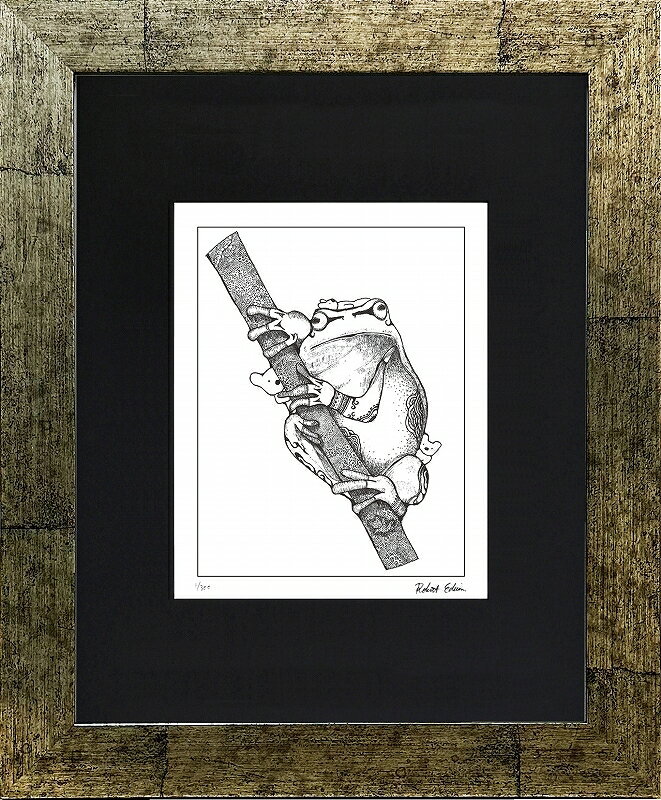 カタログ　パンフレット　リーフレット サイズ・シートサイズ:インチ:約255X203mm 仕様・ジークレー版画、木製額縁、2mm厚マット、UVカットアクリル、吊り金具、ケース 商品説明 ・ROBERT EDWIN作の額装版画です。 ・人気の作品を厳選した作品集の中にある絵です。 ・納品にお時間がかかる場合があります。お急ぎの方は事前にこちらよりお問い合わせください。 ・額装品は生産の関係上、予告なく仕様が変更になる場合があります。 ・天然木のフレームは節や木目の出方が写真とは異なりますのでご了承ください。 ・各商品は限定数生産です。完売の際はご容赦ください。 ・商品写真と商品の実際の色が異なる場合がございます。またロットによっても若干の色の差異が発生致します。 ・受注生産のため、返品・交換はお受け出来ません。 ・商品到着後7日が過ぎた場合、如何なる理由にも対応致しかねます。あらかじめご了承ください。 ・掲載写真はサンプル画像です。・売り切れごめん。 運送費（消費税・梱包費等込み）・送料無料 ※但し離島・沖縄の場合は別途送料が発生することがございますのでお問合せください。商品名・ジークレー版画 額付き絵画 ROBERT EDWIN 「カエル2」 シートサイズ・インチ:約255X203mm 仕様・ジークレー版画、木製額縁、2mm厚マット、UVカットアクリル、吊り金具、ケース 商品説明・額装品は生産の関係上、予告なく仕様が変更になる場合があります。 ・天然木のフレームは節や木目の出方が写真とは異なりますのでご了承ください。 ・各商品は限定数生産です。完売の際はご容赦ください。 ・商品写真と商品の実際の色が異なる場合がございます。またロットによっても若干の色の差異が発生致します。 ・受注生産のため、返品・交換はお受け出来ません。 ・商品到着後7日が過ぎた場合、如何なる理由にも対応致しかねます。あらかじめご了承ください。 ※壁面用取り付け金具は付属いたしません。必要な場合、こちらよりお選びお伝えください。(金具代別途申し受けます) ・掲載写真はサンプル画像です。 ・売り切れごめん。