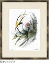 ジークレー版画 額装絵画 タツノコプロ 「新人造人間キャシャーン 1」 四ッ切 半切