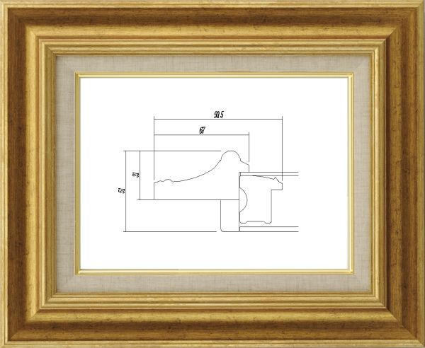 額縁 油絵額縁 油彩額縁 フレーム UVカットアクリル付 8117 F8号 ゴールド 金