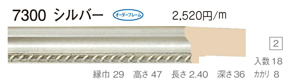 オーダーフレーム　別注額縁　デッサン用額縁　樹脂製額縁　7300　組寸サイズ500　インチ　シルバー