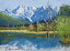 油彩画 洋画 (油絵額縁付きで納品対応可) F6号 「大正池」 島本 良平