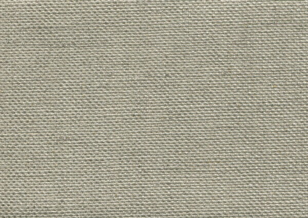 福袋 アクリル画用 油絵 画材 張りキャンバス 10枚セット (F,M,P)25号 