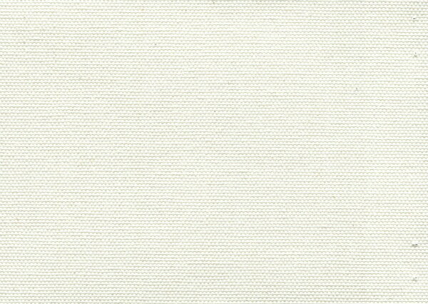 画材 油絵・アクリル画用 張りキャンバス 綿化繊混紡 TC F80（P80.M80) 1枚 -新品