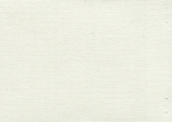 楽天市場 画材 油絵 アクリル画用 張りキャンバス 綿化繊混紡 Tc F80 P80 M80 1枚 新品 絵画 掛軸 額縁屋 ｔｏｕｏ