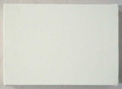 楽天市場 画材 油絵 アクリル画用 張りキャンバス 綿化繊混紡 Tc F50 P50 M50 1枚 新品 絵画 掛軸 額縁屋 touo 楽天市場 画材 油絵 アクリル画用 張りキャンバス 綿化繊混紡 Tc F50 P50 M50 1枚 新品 絵画 掛軸 額縁屋 touo