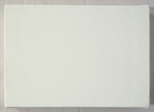 楽天市場 画材 油絵 アクリル画用 張りキャンバス 綿化繊混紡 Tc F50 P50 M50 1枚 新品 絵画 掛軸 額縁屋 ｔｏｕｏ