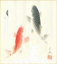 色紙(春)中谷 文魚作画「金運登り鯉」 色紙寸法24.2X27.2cm