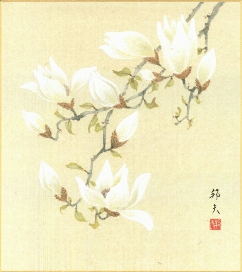 色紙（春）片山 邦夫作画「木蓮」 色紙寸法24.2X27.2cm