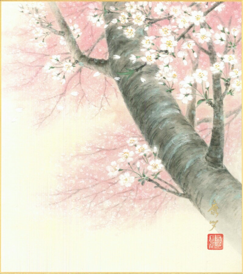 色紙（春）中谷 康多作画「桜」 色紙寸法24.2X27.2cm