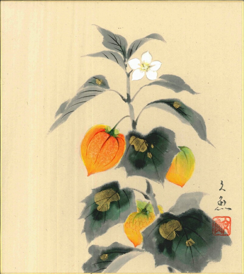 色紙（夏）中谷 文魚作画「ほおずき」 色紙寸法24.2X27.2cm