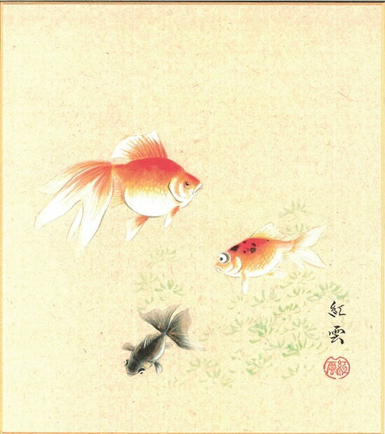 色紙（夏）武藤 紅雲作画「金魚」 色紙寸法24.2X27.2cm