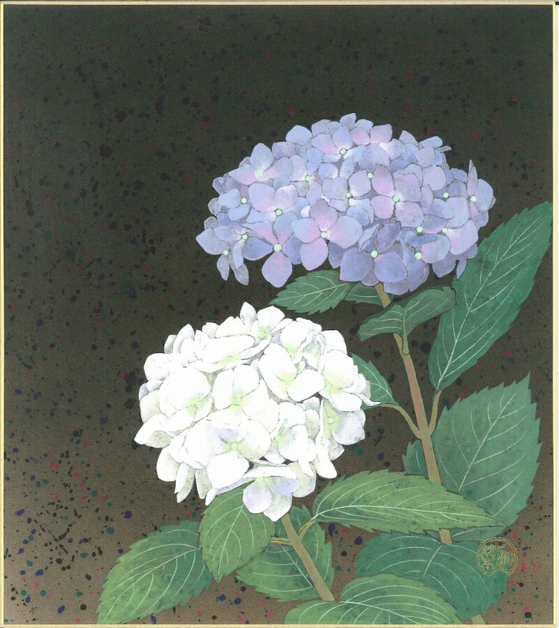 色紙（夏）白木 菜加作画「紫陽花」 色紙寸法24.2X27.2cm