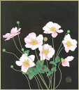 色紙(秋)白木 菜加作画「秋明菊」 色紙寸法24.2X27.2cm