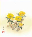誕生花色紙(誕生花 風水四季花)中村 千春作画「福寿草(2月)」 色紙寸法24.2X27.2cm