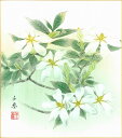 誕生花色紙(誕生花 風水四季花)中村 千春作画「くちなし(3月)」 色紙寸法24.2X27.2cm