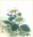 誕生花色紙(誕生花 風水四季花)中村 千春作画「紫陽花(6月)」 色紙寸法24.2X27.2cm