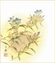 誕生花色紙(誕生花 風水四季花)中村 千春作画「りんどう(9月)」 色紙寸法24.2X27.2cm