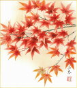 誕生花色紙(誕生花 風水四季花)中村 千春作画「紅葉(10月)」 色紙寸法24.2X27.2cm