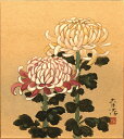 工芸色紙(年中 その他)松浦 青濤作画「重陽の節句」 色紙寸法24.2X27.2cm
