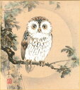 色紙(年中 その他)今瀬 良亭作画「ふくろう(不苦労)」 色紙寸法24.2X27.2cm