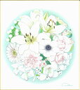 色紙(誕生花 風水四季花)白木 菜加作画「開運花風水 白」 色紙寸法24.2X27.2cm